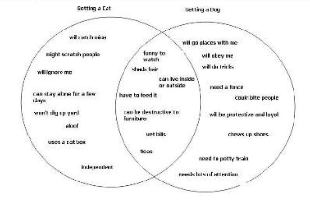 Essay Essay